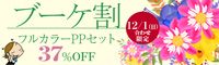 12/1限定37％OFF